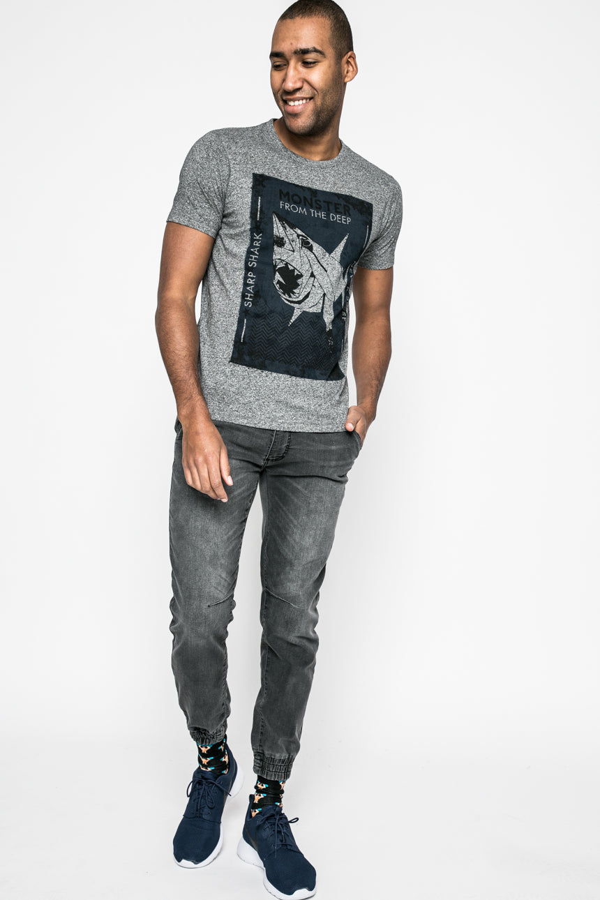 Shark T-Shirt (grey)